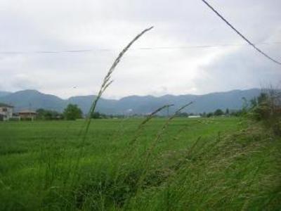 фото отеля Camere Della Piana