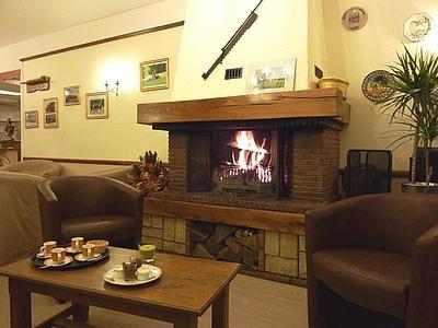 фото отеля Logis Hotel La Sapiniere