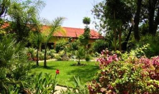 фото отеля Etosha Garden