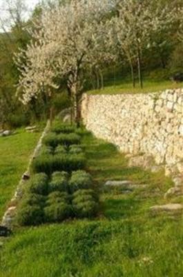 фото отеля Tenuta Lonciano Farmhouse Sesto Fiorentino