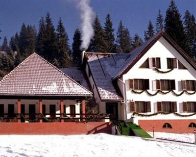 фото отеля Poiana Verde Hotel Albac