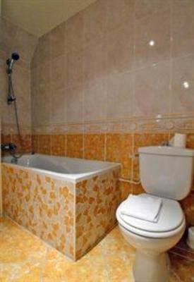 фото отеля Hotel Le Saint Vorles