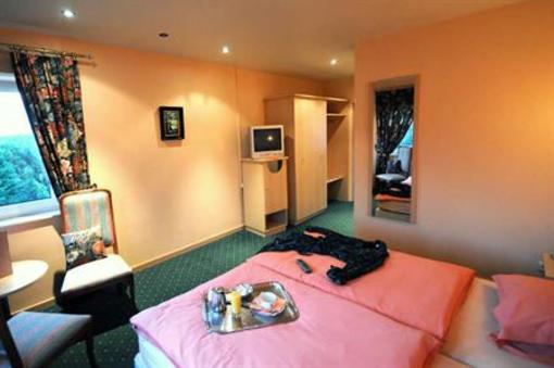 фото отеля Hostellerie Hotleu