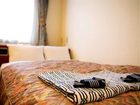 фото отеля Toyohashi Green Hotel