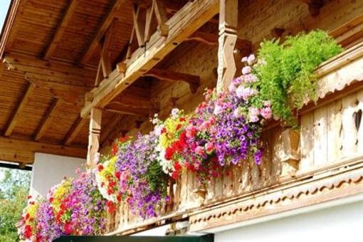 фото отеля Schnapperhof Pension Going am Wilden Kaiser