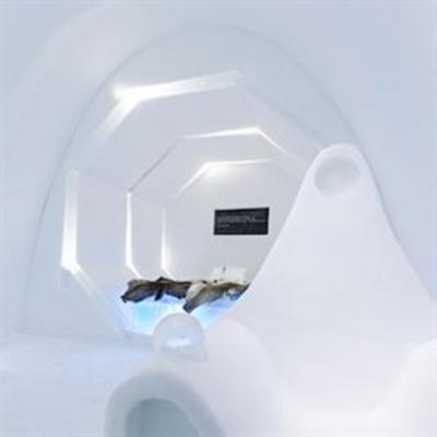 фото отеля Icehotel