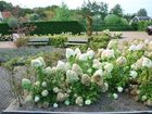 фото отеля Topvakanties Koningshof