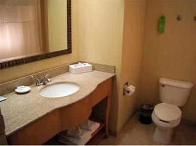 фото отеля Hampton Inn Ames