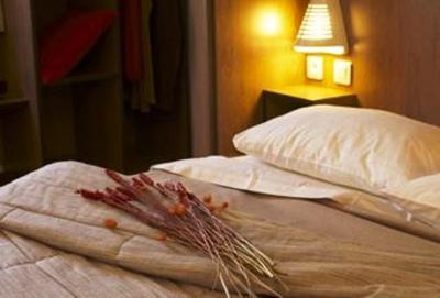 фото отеля Ace Hotel Roanne