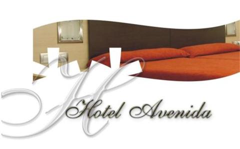 фото отеля Hotel Avenida Pontevedra