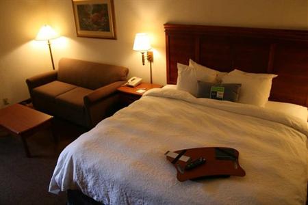 фото отеля Hampton Inn Albany - Wolf Road (Airport)
