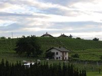 Weingarten