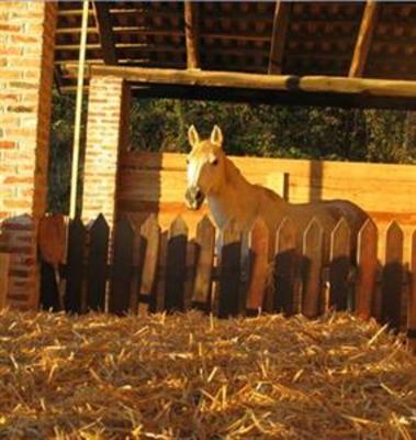 фото отеля Agriturismo Il Noccioleto