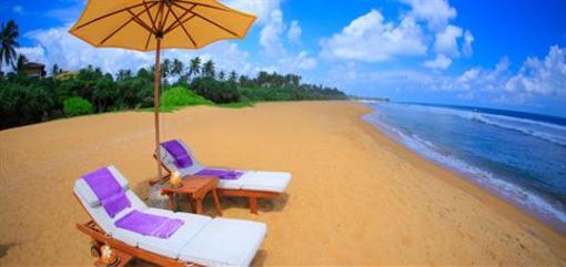 фото отеля Bien Vang Hotel Danang
