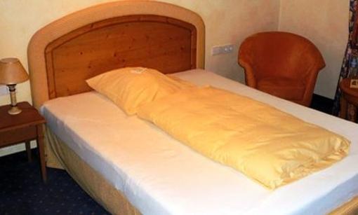 фото отеля Waldhotel Bad Sulzburg