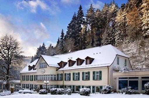 фото отеля Waldhotel Bad Sulzburg