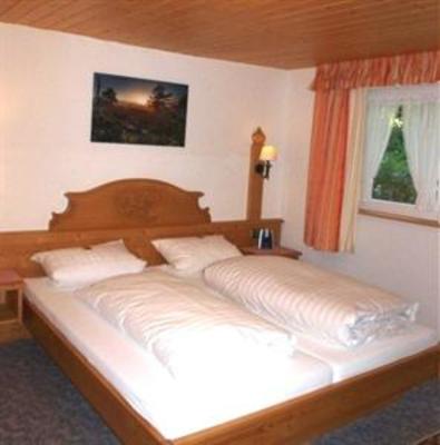 фото отеля Hotel Hirschen Menzenschwand