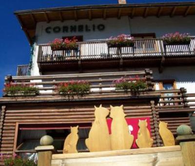 фото отеля Hotel Cornelio