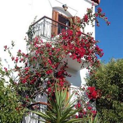 фото отеля Kerkis Bay Hotel