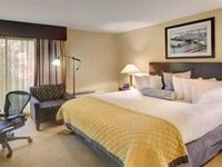 Wyndham Garden Hotel Newark Airport