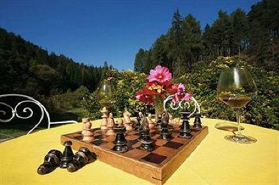 фото отеля Parkhotel Sole Paradiso San Candido
