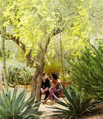 фото отеля JW Marriott Desert Ridge Resort & Spa Phoenix