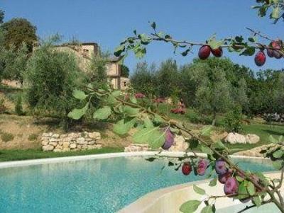 фото отеля Agriturismo Ardene