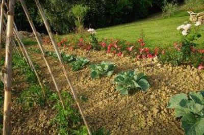 фото отеля Agriturismo Ardene