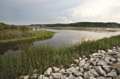 фото отеля Towers at North Myrtle Beach