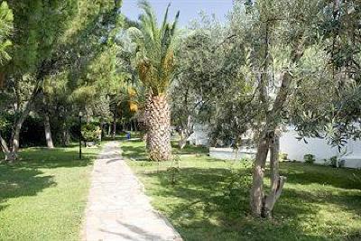 фото отеля Hanedan Resort