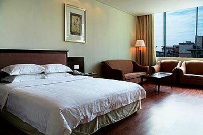 фото отеля Raystar Hotel