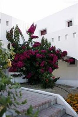 фото отеля Naxos Palace Hotel