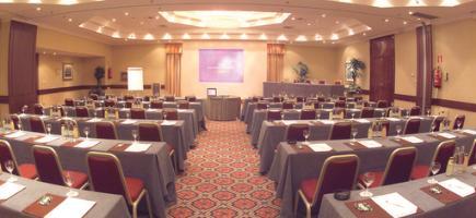 фото отеля Holiday Inn Madrid