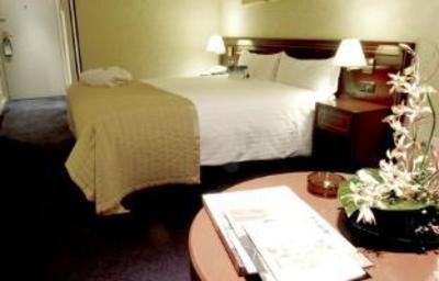 фото отеля Holiday Inn Madrid