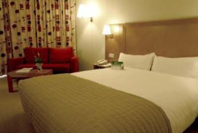 фото отеля Holiday Inn Madrid