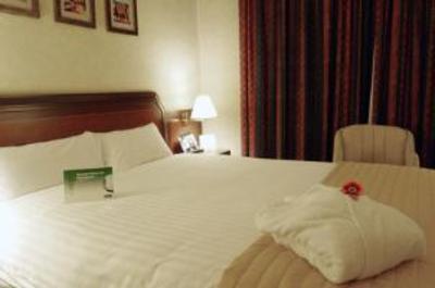фото отеля Holiday Inn Madrid