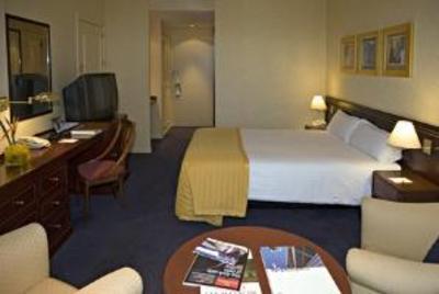 фото отеля Holiday Inn Madrid