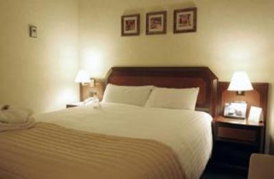 фото отеля Holiday Inn Madrid