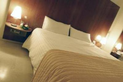 фото отеля Holiday Inn Madrid