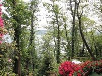 B&B Tana della Volpe