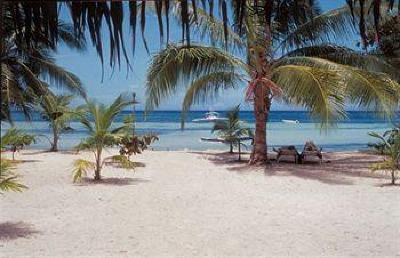 фото отеля Bohol Sea Resort