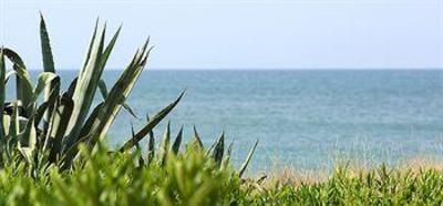 фото отеля Noguera Mar Hotel