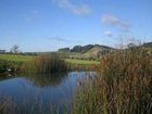 фото отеля Sugarloaf Lodge Matakana