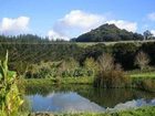 фото отеля Sugarloaf Lodge Matakana