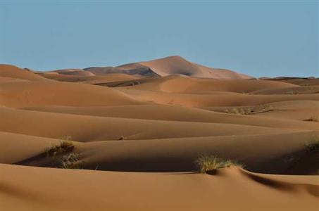 фото отеля Kasbah Erg Chebbi