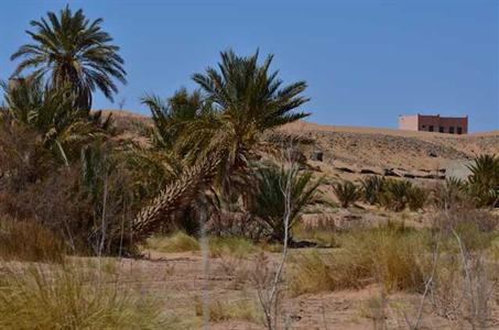 фото отеля Kasbah Erg Chebbi