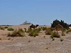 фото отеля Kasbah Erg Chebbi