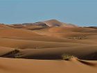 фото отеля Kasbah Erg Chebbi