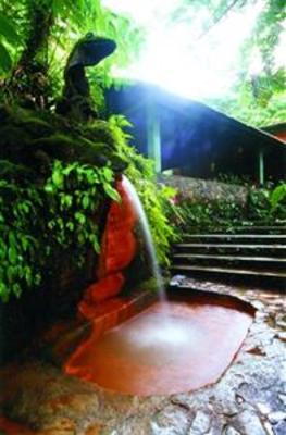 фото отеля Papillote Wilderness Retreat