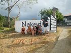 фото отеля Naked Tiger Hostel